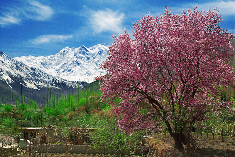 Hunza Valley Tour Pakistan